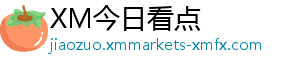 xm外汇官方网站解读“大脑宇宙”的“天书”-XM今日看点